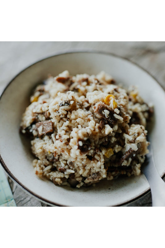 Back Country Cuisine - Beef Stroganoff Rugged Ram Outdoors